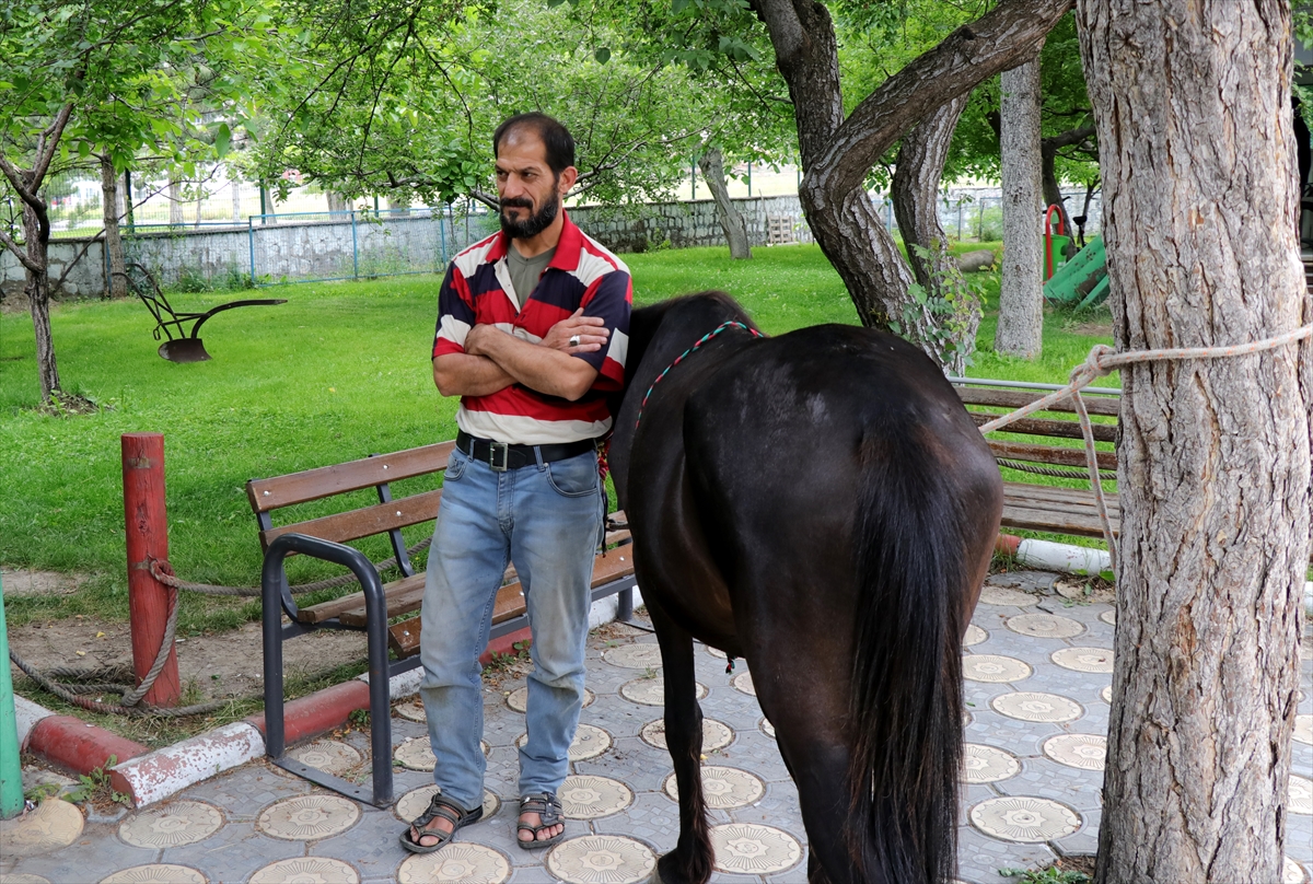 Kayseri'de atını aracına bağlayıp götüren kişi hakkında soruşturma başlatıldı