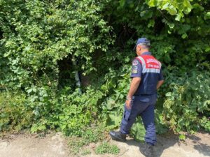 KOCAELİ (AA) – Gölcük ilçesinde atıklarını Beyeoğlu Deresi'ne döktüğü belirlenen