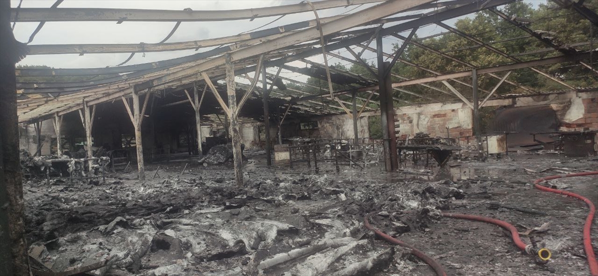 GÜNCELLEME – Kocaeli'de fabrikada çıkan yangın söndürüldü
