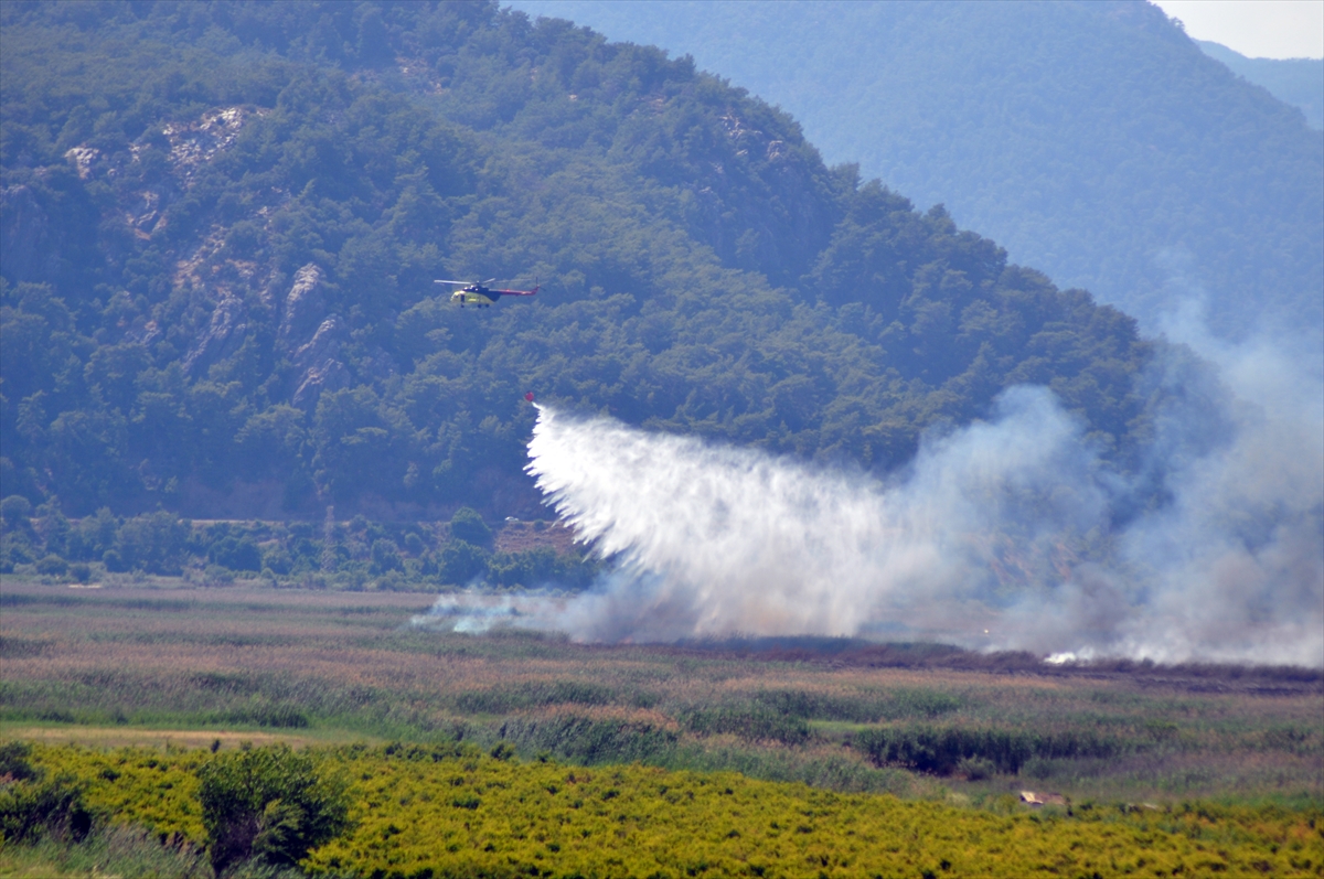 Köyceğiz Gölü'nün sazlık alanındaki yangına havadan müdahale