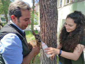 MANİSA (AA) – Manisa'nın Demirci ilçesinde, Orman İşletme Müdürlüğü personelince