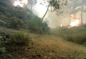 MUĞLA (AA) – DURMUŞ GENÇ / SABRİ KESEN – Marmaris