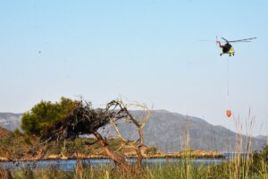 MUĞLA (AA) – Muğla'nın Marmaris ilçesinde ormanlık alanda çıkan yangına