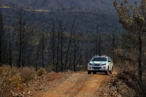 MUĞLA (AA) – MUSTAFA GÜNGÖR – Marmaris'te orman yangının etkili