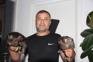 DÜZCE (AA) – Düzce'nin Yığılca ilçesinde ormanlık alanda bulunarak koruma