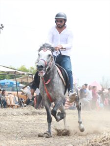 OSMANİYE (AA) – Osmaniye'de 10. Geleneksel Rahvan At Yarışları gerçekleştirildi.