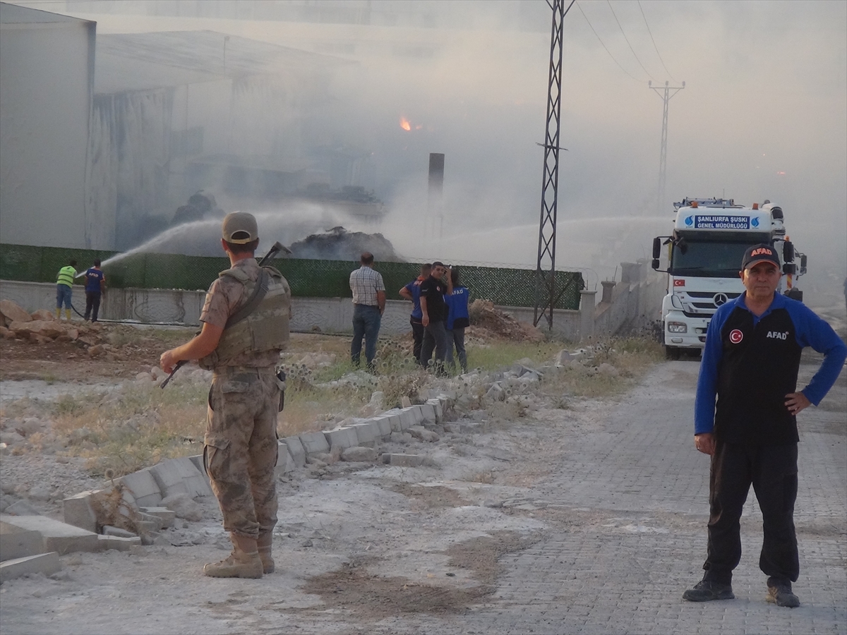 Şanlıurfa'da biyokütle enerji santralinde çıkan yangına müdahale ediliyor