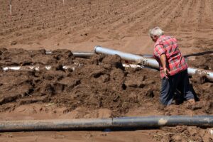 SİVAS (AA) – Sivas'ın Şarkışla ilçesinde sağanak ve dolu, tarım