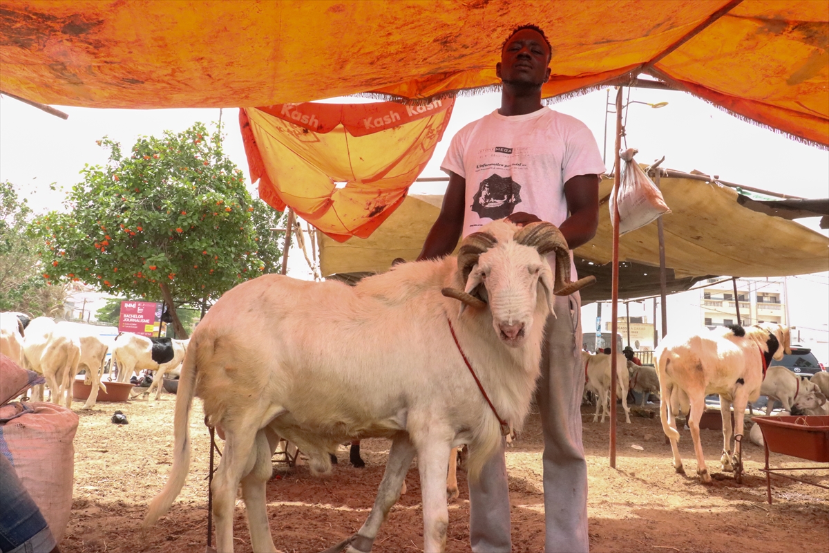 Senegal, Kurban Bayramı'na yüksek fiyatların gölgesinde giriyor