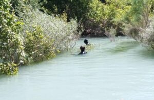 SİİRT (AA) – Siirt'in Pervari ilçesinde pikniğe giden ve Müküs