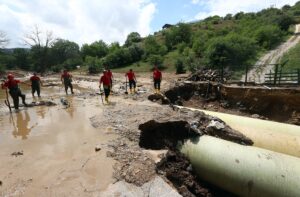 - AFAD, JAK ve itfaiye ekipleri tarafından yürütülen çalışmalara balık