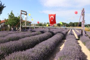TEKİRDAĞ (AA) – Tekirdağ Kültür ve Turizm Müdürlüğünce düzenlenen "Tekirdağ