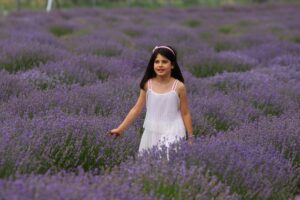 - Yüzlerce objektif için doğal plato işlevi de gören lavanta
