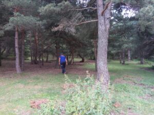 TOKAT (AA) – Tokat'ta mantar toplamaya giden ve haber alınamayan