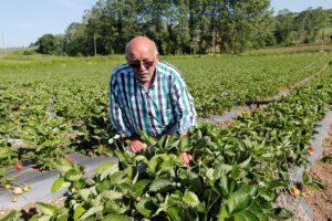 SAMSUN (AA) – MEHMET KUMCAĞIZ – Samsun'un Bafra ilçesinde 20