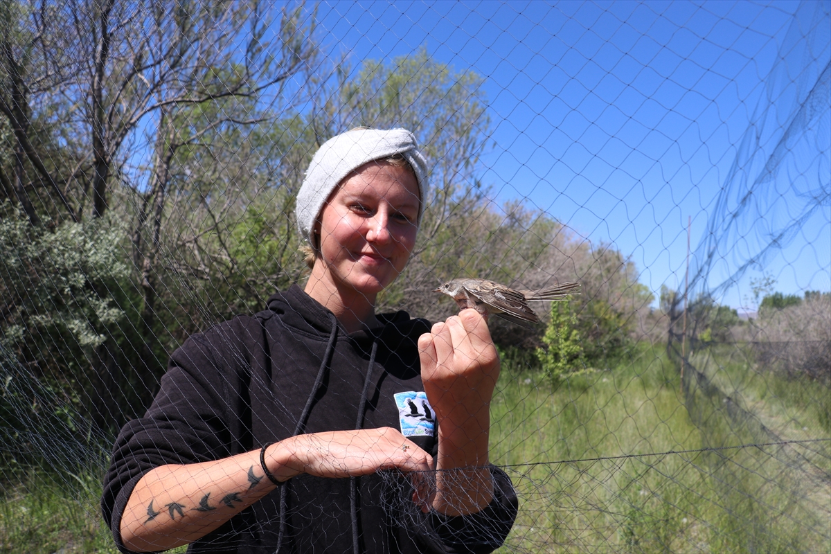 Yabancı kuş gözlemcileri Aras'taki halkalama çalışmalarına gönüllü katılıyor