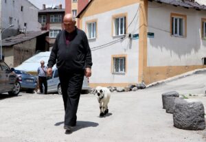 ERZURUM (AA) – İLHAMİ ERKILIÇ – Erzurum'da çocukluğundan beri sütle