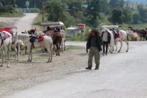 BOLU (AA) – Bolu'nun doğal güzellikleriyle ünlü Abant Milli Parkı'nda