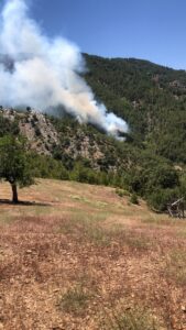 ADANA (AA) – Adana'nın Kozan ilçesinde çıkan orman yangını, havadan