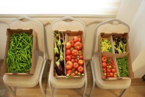 ADANA (AA) – Milli Eğitim Bakanlığı ile Tarım ve Orman