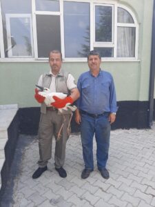 AFYONKARAHİSAR (AA) – Afyonkarahisar'da cami avlusunda bulunan leylek yavrusu, bakımı