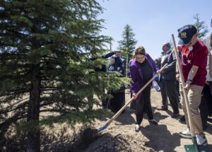 - "Bir ağaç dikerek bir yere mühür vurursunuz aynı zamanda.