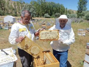 ERZİNCAN (AA) – AK Parti Genel Başkanvekili Binali Yıldırım, Erzincan'da