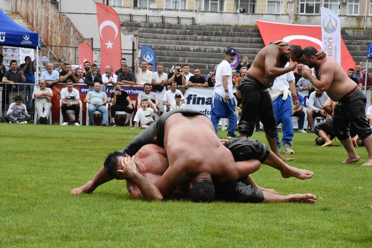 Altınordu Yağlı Güreşleri'nde Hasan Cengiz başpehlivan oldu