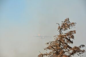 AYDIN (AA) – Aydın'ın Didim ilçesinde makilik alanda çıkan yangın,