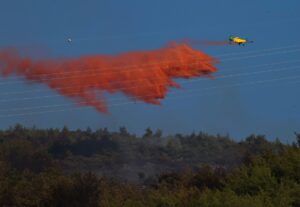 AYDIN (AA) – Aydın'ın Söke ilçesinde dün başlayan orman yangını,