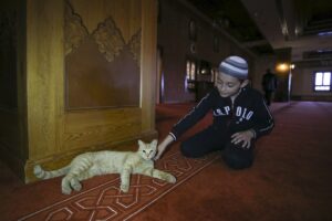 ANKARA (AA) – Başkentte çok sayıda kişi, Kurban Bayramı namazını