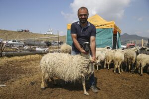 ANKARA (AA) – Ankara'daki kurban satış alanlarında Kurban Bayramı'nın ikinci