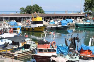 DÜZCE (AA) – Batı Karadeniz'in önemli balıkçı limanlarından Düzce'nin Akçakoca
