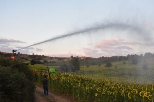 - "Çayır tırtılı zararlısı merkez, Gölpazarı ve Osmaneli ilçelerimizde etkili