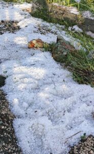 BİLECİK (AA) – Bilecik'in Yenipazar ilçesinde etkili olan sağanak ve