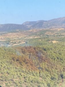 MUĞLA (AA) – Muğla'nın Bodrum ilçesinde ormanlık alanda çıkan yangın