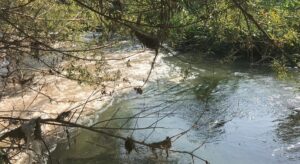 BOLU (AA) – Çevre, Şehircilik ve İklim Değişikliği Bolu İl