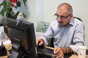 SİİRT (AA) – FECRİ BARLIK – Siirt Adliyesinin maskotu haline