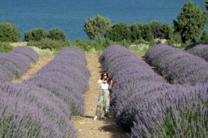BURDUR (AA) – Burdur Gölü kenarındaki lavanta tarlasında resim ve