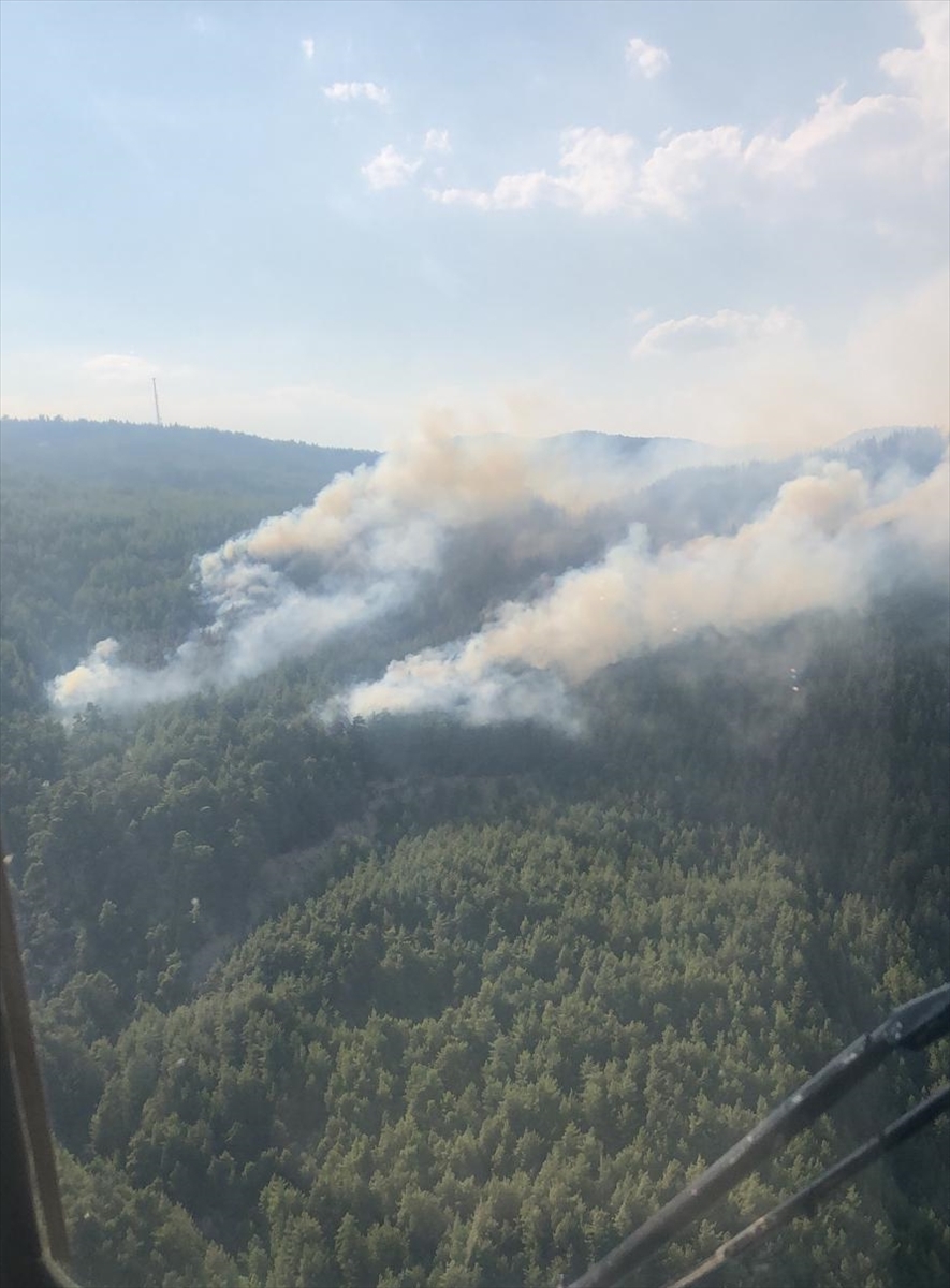 BURDUR (AA) – Burdur'un Bucak ilçesinde çıkan orman yangını havadan