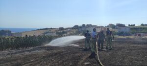 İSTANBUL (AA) – Büyükçekmece'de otluk alanda çıkan yangın itfaiye ekiplerinin