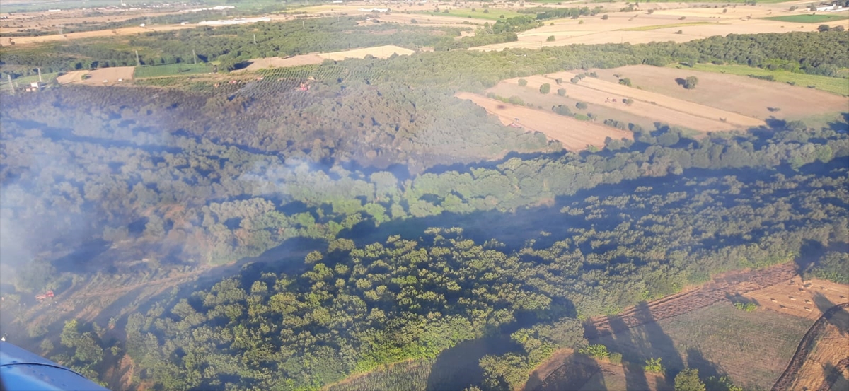 GÜNCELLEME – Çanakkale'deki orman yangını kontrol altına alındı