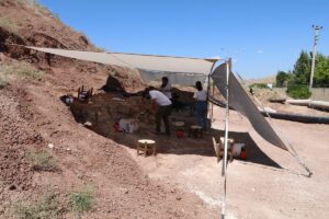 ÇANKIRI (AA) – Çankırı'da, önceki yıllarda gergedan, kılıç dişli kaplan,