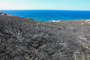 İZMİR (AA) – İzmir Valisi Yavuz Selim Köşger, Çeşme ilçesinde