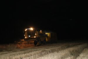 IĞDIR (AA) – BÜLENT MAVZER – Tarımın yaygın yapıldığı Iğdır'da