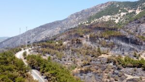 MUĞLA (AA) – Muğla'nın Datça ilçesinde dün kontrol altına alınan