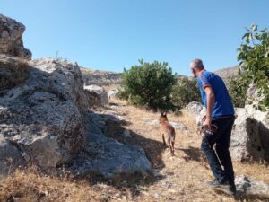 DİYARBAKIR (AA) – Diyarbakır'ın Ergani ilçesinde kayıp 50 yaşındaki şizofreni