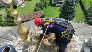 DÜZCE (AA) – Düzce'de anneleri öldüğü için cami kubbesinde mahsur