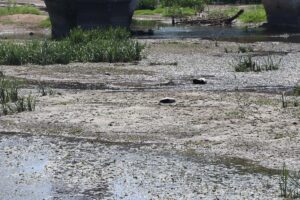 EDİRNE (AA) – Edirne'de, sıcak hava ve tarımsal sulamanın etkisiyle