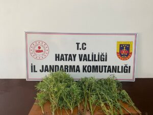 HATAY (AA) – Hatay'da kent genelinde yapılan arananlara yönelik operasyonda